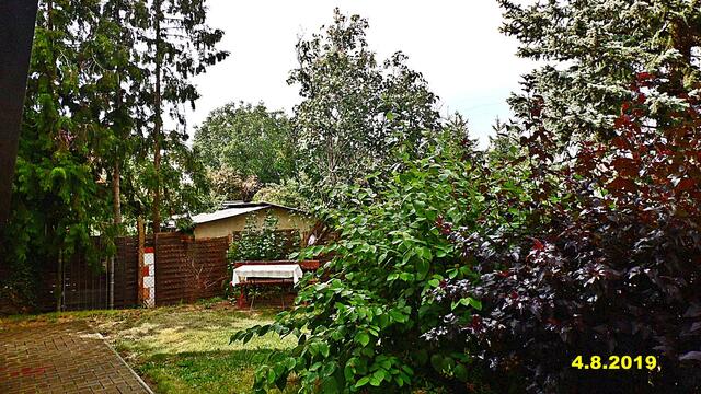 30  4.8.2019 - Sonntagsbilder - Fliederbaum (31) ! Temp: 5:54 / 14,7°C plus und 11:21 plus 25,6°C / Es werden Höchsttemperaturen von 26° (gefühlt: 27°) und leichte Brise (9 km/h) aus Westnordwest mit frischen Böen (28 km/h) erwartet. Es kommt zu Niederschlagsmengen von 0 l/m², die Niederschlagswahrscheinlichkeit beträgt 15%, die Sonne scheint 10 Stunden.