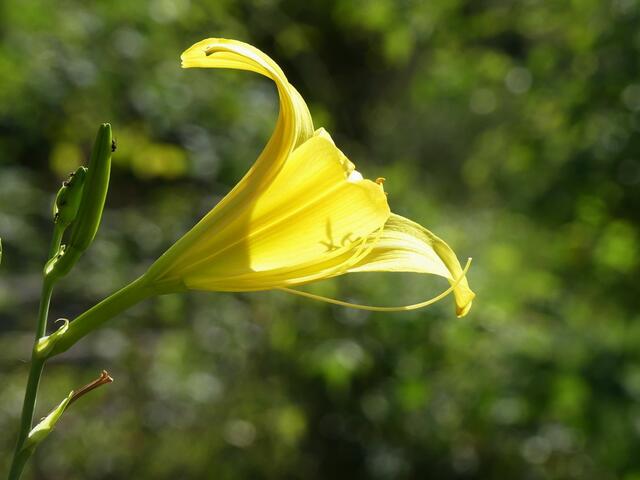 Licht und Schatten