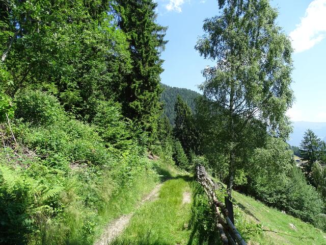auf dem Meraner Höhenweg