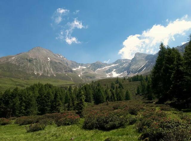 Gipfelregion des Hirzer