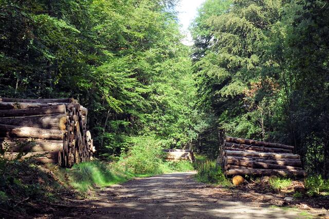der Gatterweg - Teil des Europaradweg R1