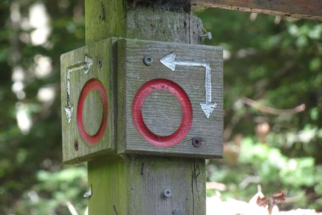 Zeichen für den Bad Harzburger Ringwanderweg