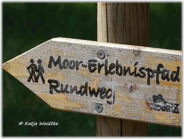 Moor-Erlebnispfad Resse (Foto: Katja Woidtke)