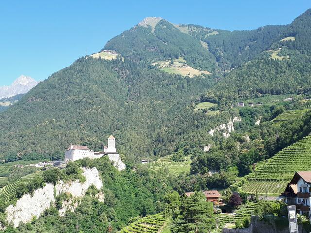 Oberhalb von Schloss Tirol liegen die Hochalmen des Hochmuth. Die Bergstation der Hochmuth-Seilbahn ist ein Ausgangspunkt für den Meraner Höhenweg.