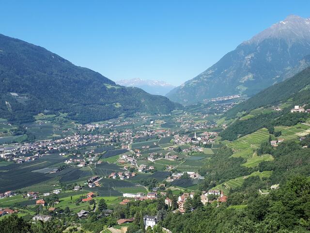 Blick über das Meraner Land und ins Etschtal.