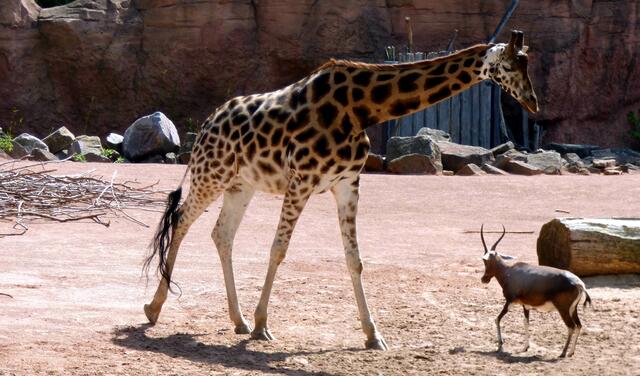 Größe ist nicht alles
