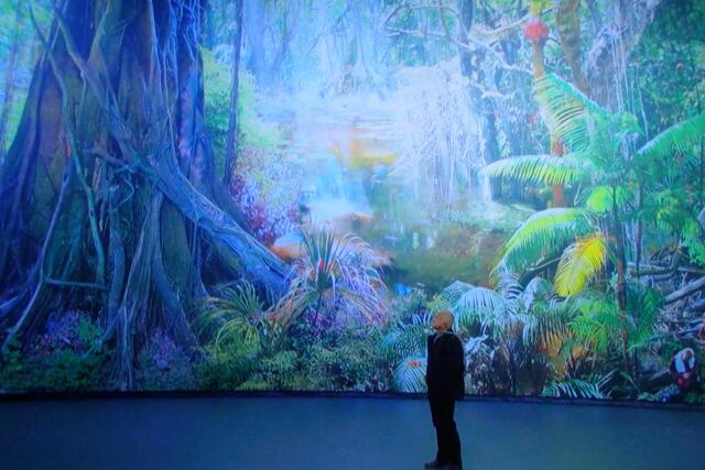 Amazonashaus Panorama am Zoo - Bild aus dem Eingangsbereich