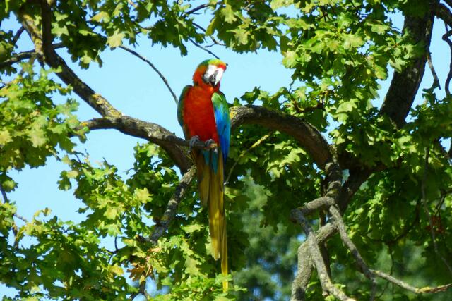 Da bin ich auch zu finden