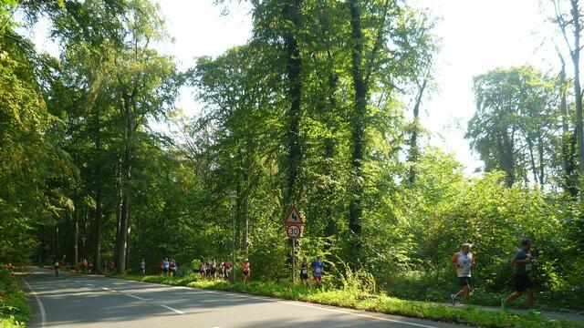 10 km: Zwischen Steuerndieb und Zoo.