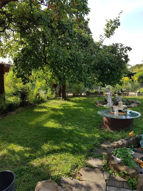 Mein Garten von der vorderen linken Seite.