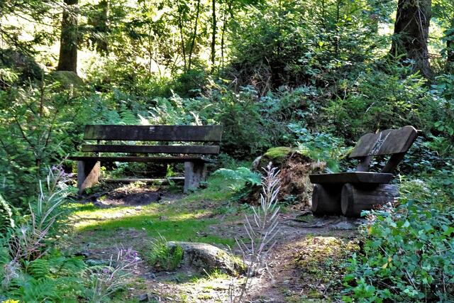 Idylle am Jägerborn - Steinbrecher - Weg