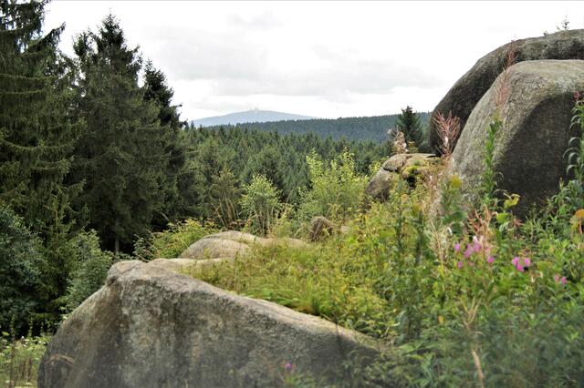 Brockenblick vom Kästehaus