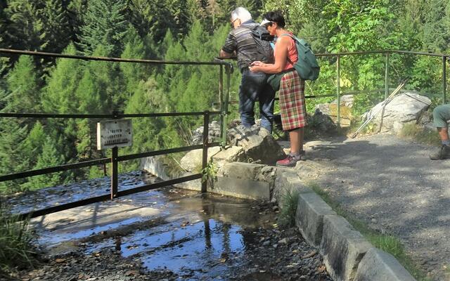 der Wassereinlauf am Romkerhaller Wasserfall