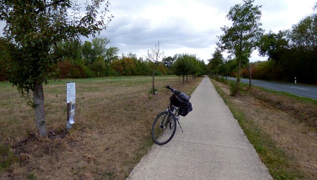 Die Gravensteiner sind das Richtige für unterwegs