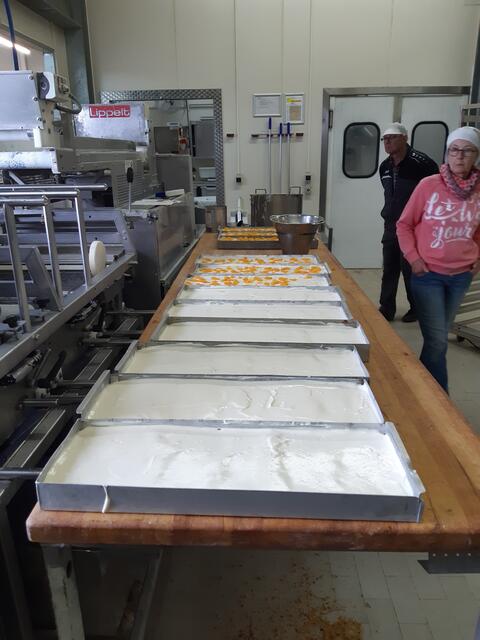 Käsekuchen in Vorbereitung