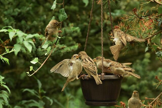 ..komm, ich füttere dich..