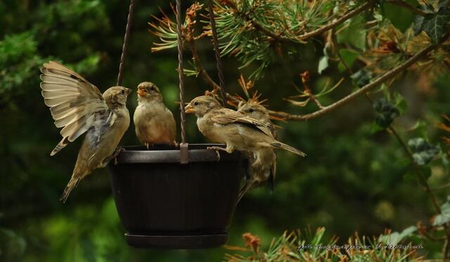 ...auch du bist gemeint...