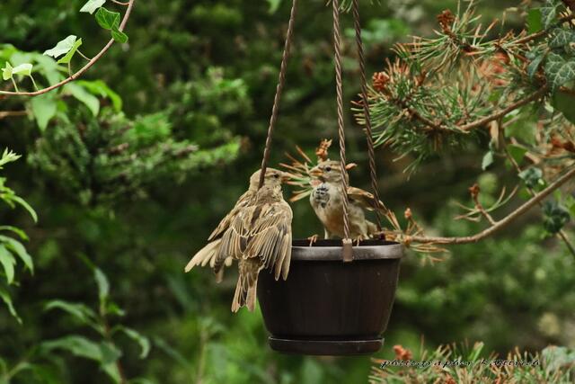 ..kann es los gehen?