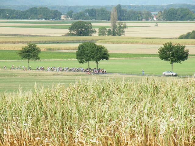 47. Abzweig zur Bergwertung; die jungen Fahrer in Runde fünf.