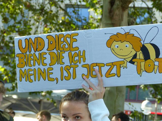 Das große Artensterben hat der Mensch auf dem Gewissen. Er beraubt unseren Planeten einer einzigartigen Vielfalt.