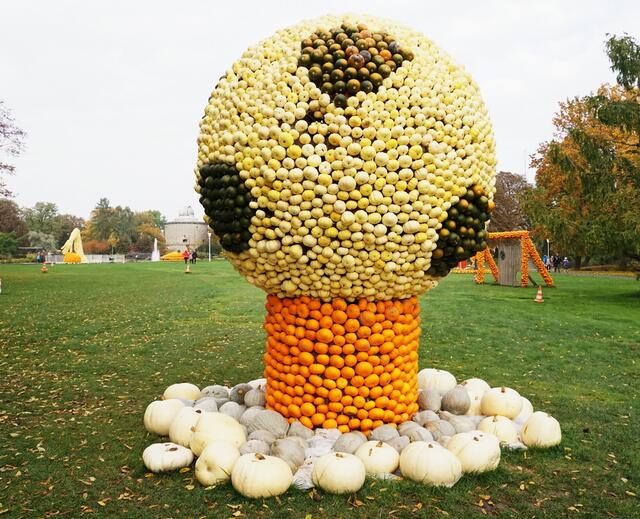 Fußball -