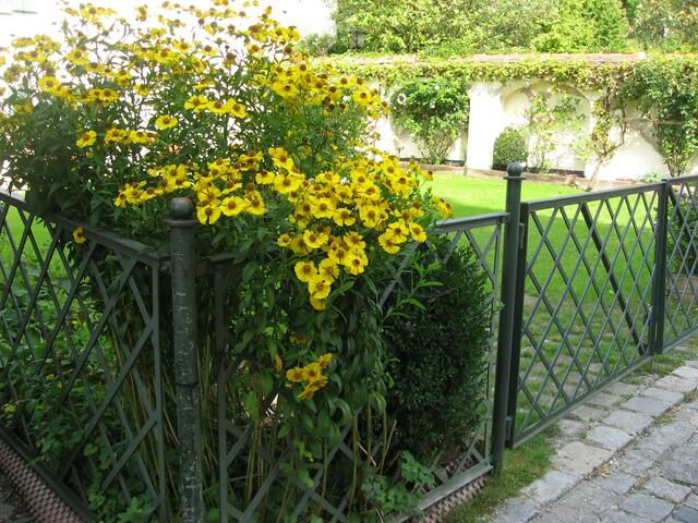 Gartenecke am Kloster.