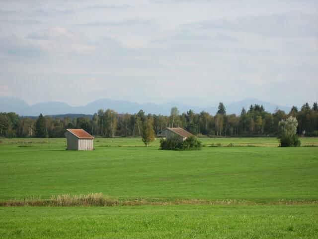 Über dem Waldrand das Wettersteingebirge,  gerade noch zu erkennen.