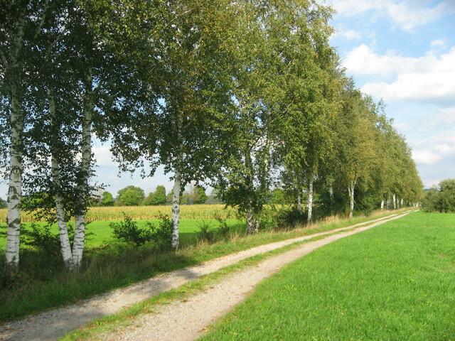 "Schnappschuss-Foto" mein Lieblingsfoto aus der Serie.