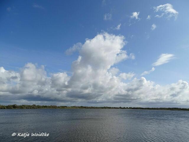 Vogelkiek im Speicherkoog bei Meldorf - Kronenloch (Foto: Katja Woidtke)