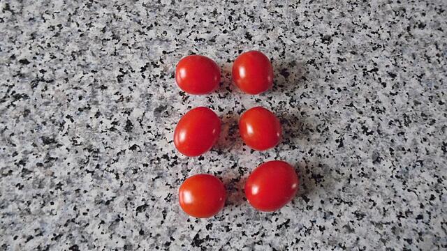 Mein Tomatendschungel 2019 ist kurz vor dem "Abholzen" !