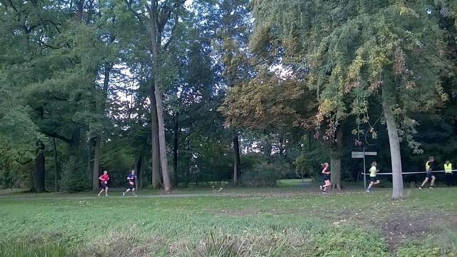 Athleten im Stadtpark in Höhe Alter Jagdsteg.