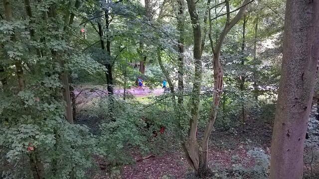 Athleten im Stadtpark. Gesehen vom Rodelberg aus.