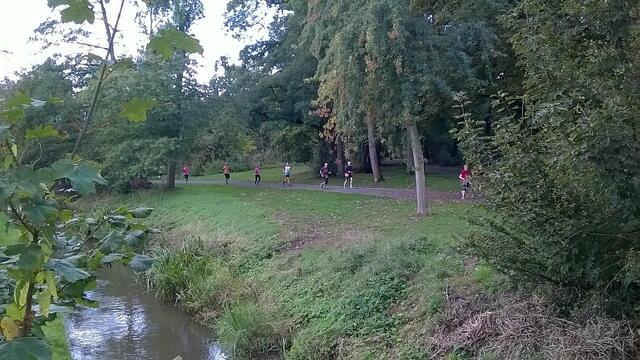 Athleten im Stadtpark mit Aue in Höhe Alter Jagdsteg.