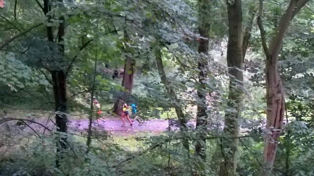 Athleten im Stadtpark. Gesehen vom Rodelberg aus.