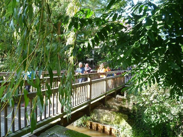 Auebrücke. In Zielnähe.