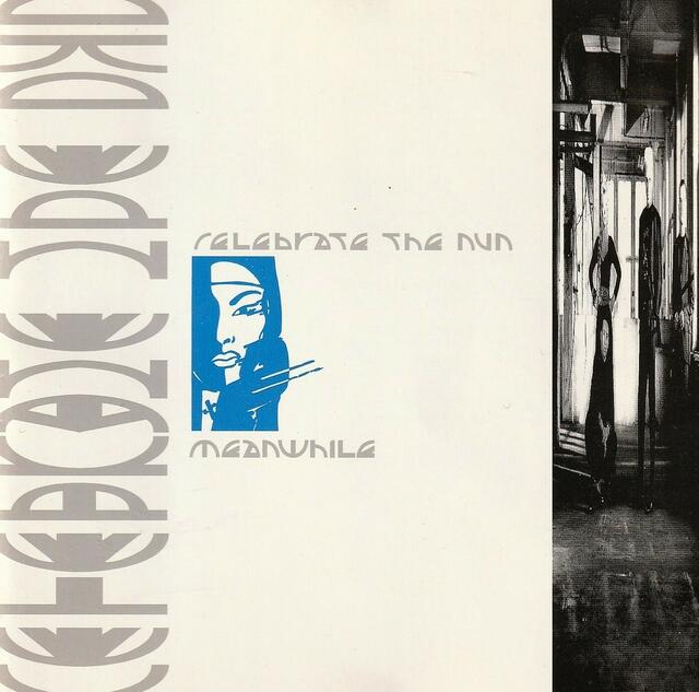 Celebrate the Nun: „Meanwhile“ (1989)