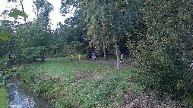 Athleten im Stadtpark mit Aue in Höhe Alter Jagdsteg.