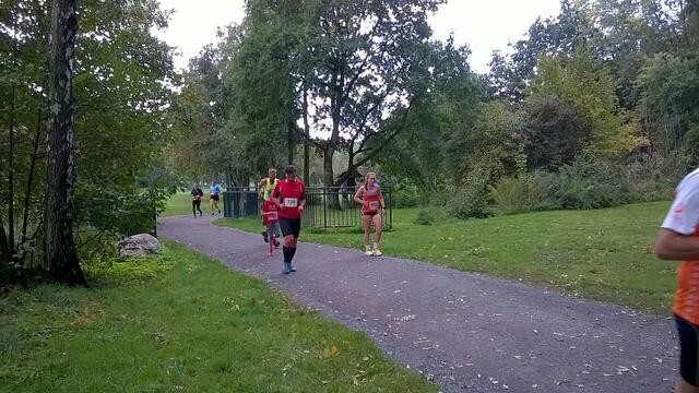 Athleten im Stadtpark in Höhe Alter Jagdsteg.