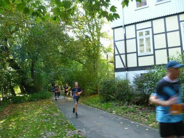 Weg zwischen Schloss und Aue.