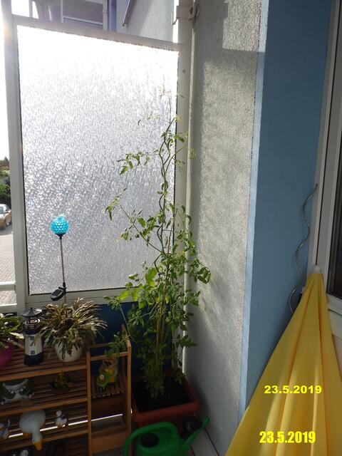 Am 7. Oktober war es soweit,wir haben meinen Balkon Winterfest gemacht - schade das die Zeit vorbei ist !