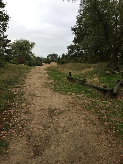 Westruper Heide