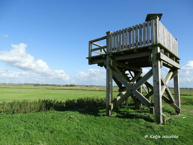 Aussichtsturm in der Hattstedter Marsch im Beltringharder Koog (Foto: Katja Woidtke)