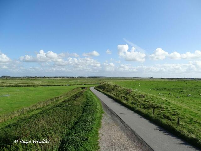 Blick vom Aussichtsturm in der Hattstedtermarsch zum Beltringharder Koog (Foto: Katja Woidtke)