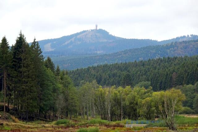 Blick auf den Wurmberg