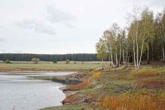 herbstlich ist es am Rande des Hochwasserschutzbeckens