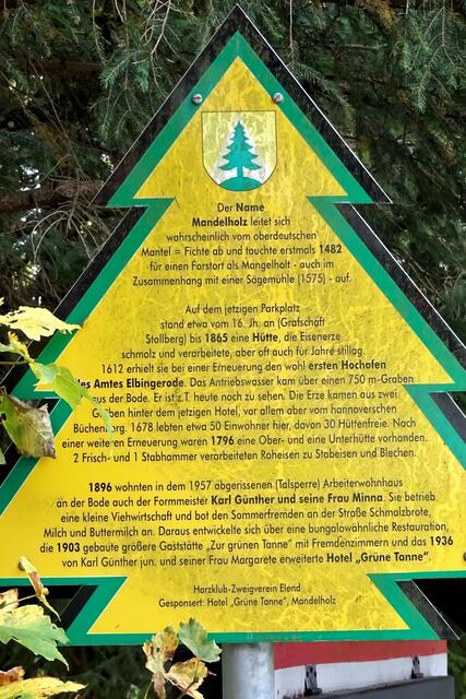 "Dennerttanne" an der Waldgaststätte Grüne Tanne