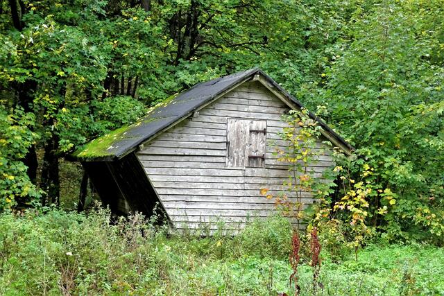 Futterraupe im Steinbachtal