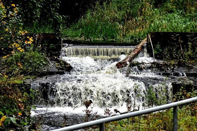 die Kalte Bode in Königshütte