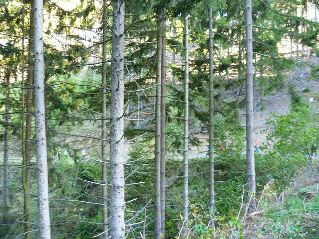 11-km-Distanz. Suchbild.