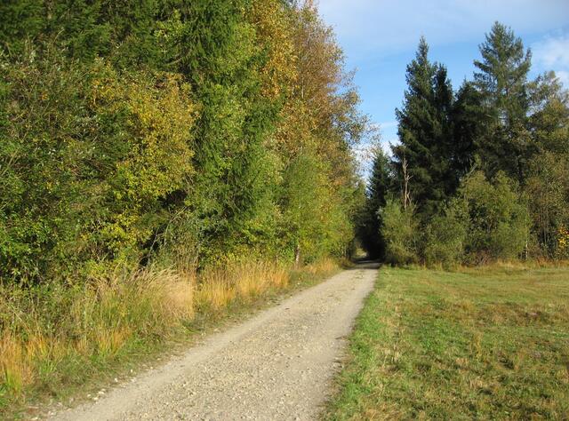 Hier sieht man recht gut die Beschaffenheit meines Radweges. Wir sind in Bayern und in einem "Naturpark". Mein Fahrrad-Sattel ist gepolstert, mein Hintern auch... somit geht es ganz gut voran ;-)))